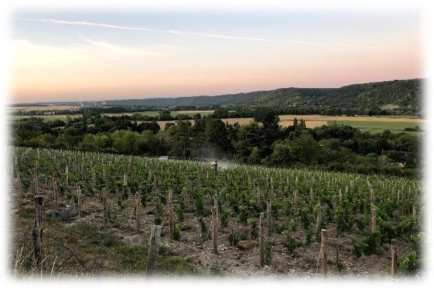 La Petite Maison De Giverny - Gite De Charme 5 Etoiles Au Coeur Du Village - 3 Chambres Zewnętrze zdjęcie